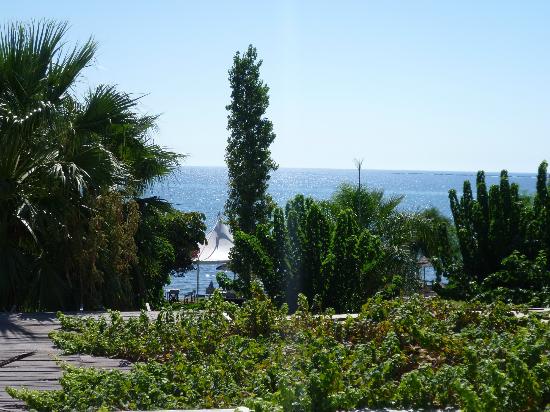 andreas-melani-beach (2)